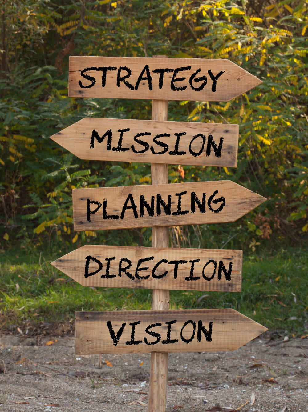 A vision statement is aspirational and focuses on long-term goals and where the company wants to be in the future. 